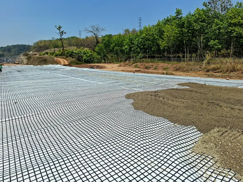 Geogrid